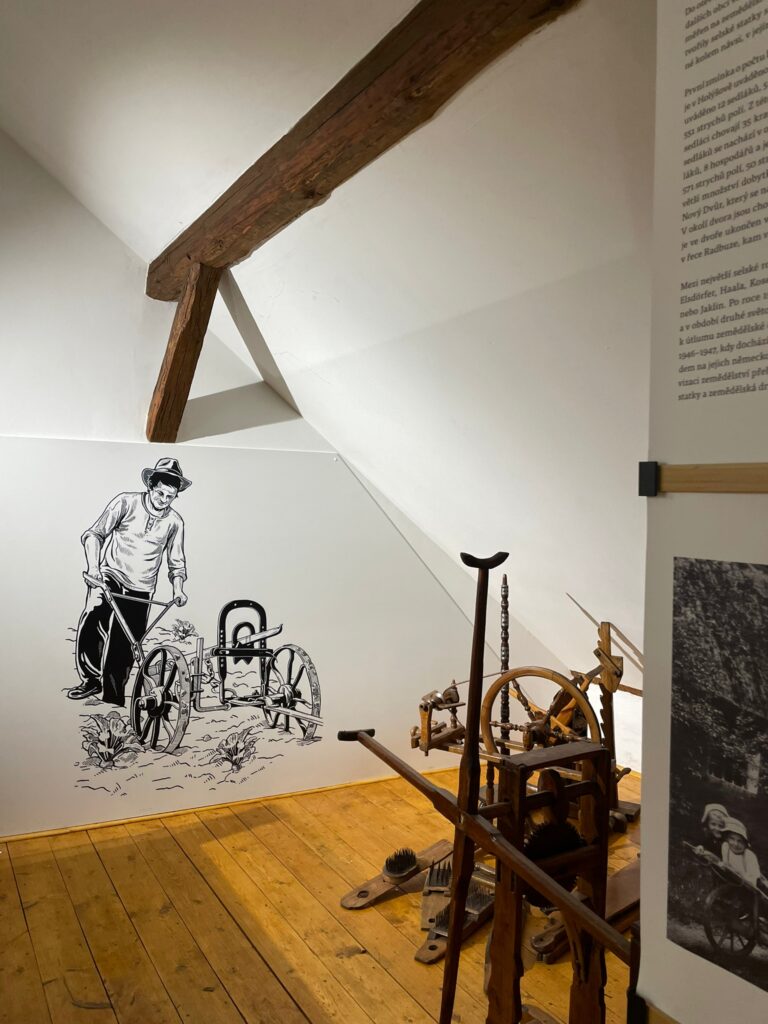 Alice Slavicek | House of the history