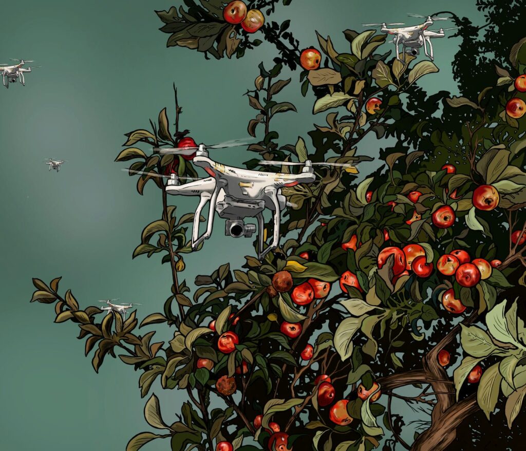 Alice Slavicek | In the orchard